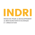 Logo INDRI