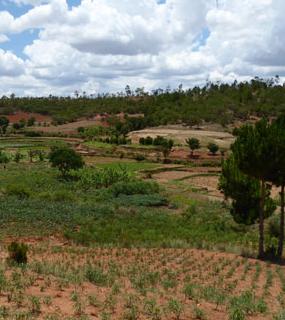 Madagascar : projet Mahavotra